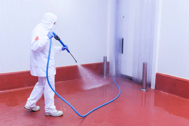 Reliable Head Of The Harbor, NY Pressure Washing Solutions