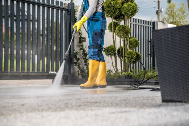 Best Driveway Pressure Washing  in Head Of The Harbor, NY